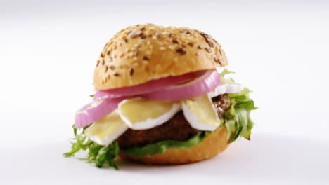 Hamburger-against-white-background