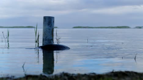 disparo en ángulo bajo del neumático alrededor del puesto en el agua de la laguna