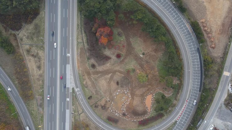 Traffic intersection in the form of loop and trees suburb aerial view.