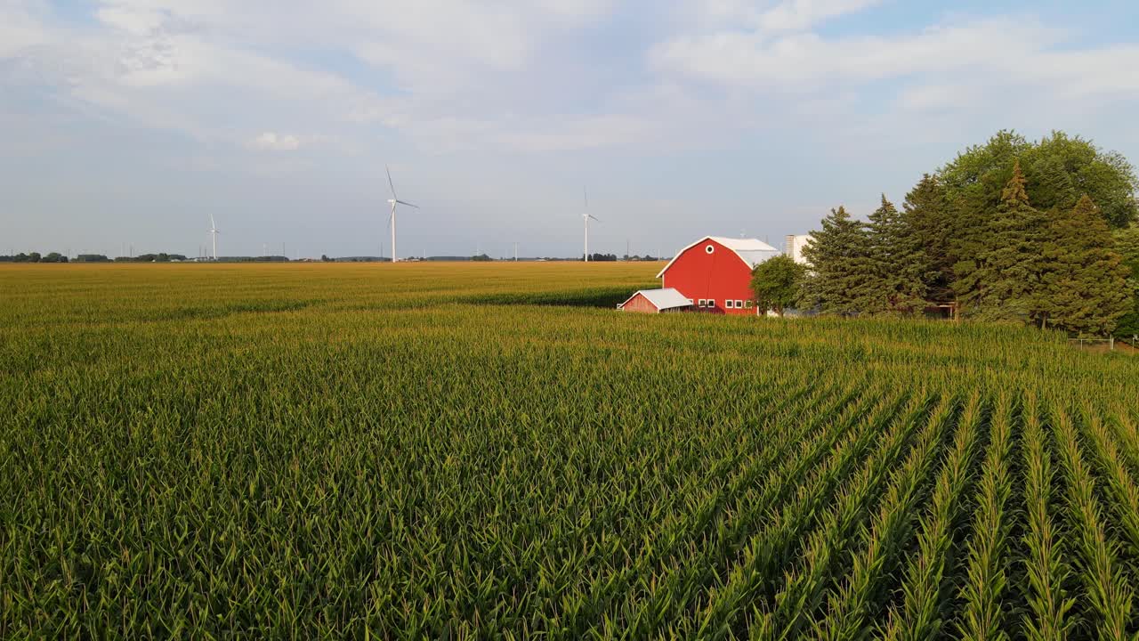 Traditional farm with a red barn and surround by corn field with wind turbines in the background
