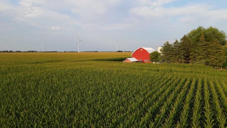 traditional farm with a red barn and surround by corn field with wind turbines in the background