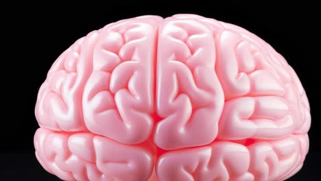 pink plastic brain model illustrating concepts such as intelligence, creativity, memory, neurology, and mental health against a dark background