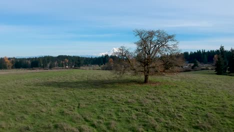 A-beautiful-crisp-fall-day-in-Washington-State