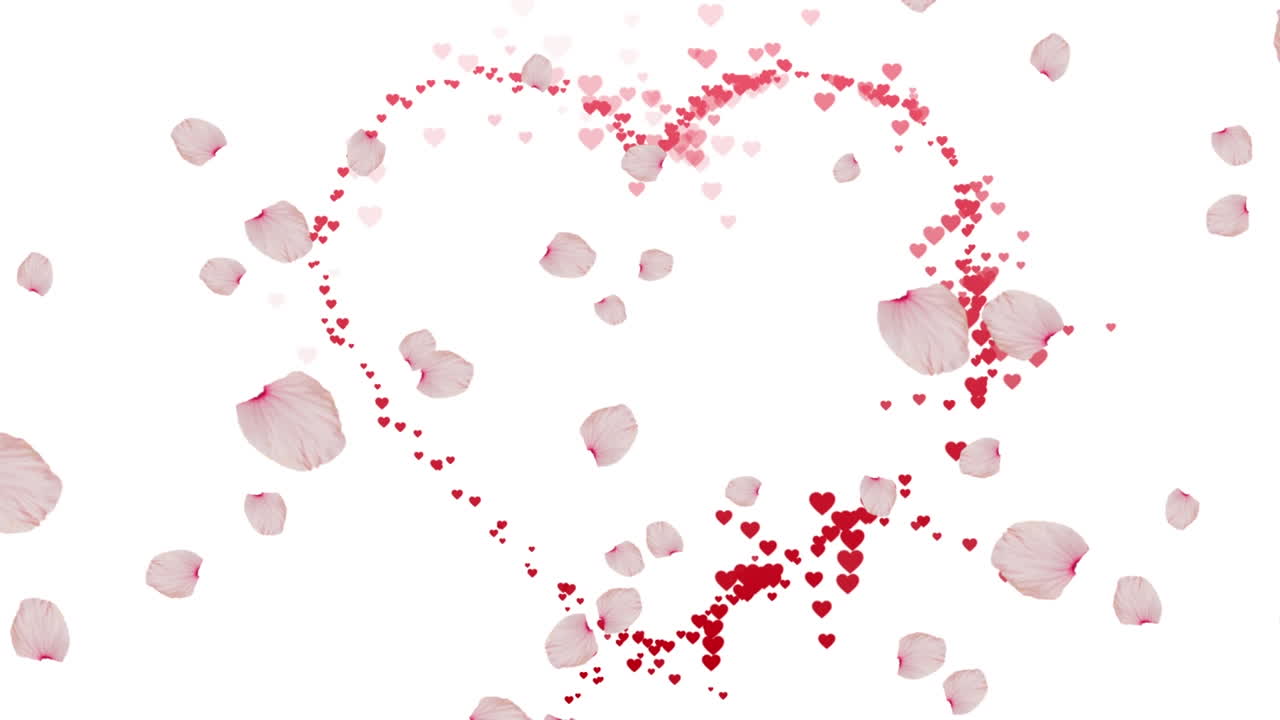 Animazione di petali di rosa su un cuore su sfondo bianco