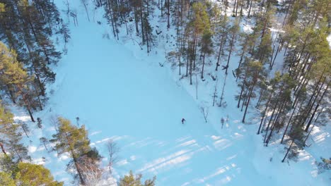 Luftaufnahme-Einer-Langläuferin-Durch-Gefrorenen-Wald