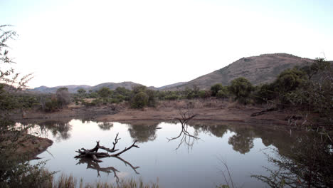 nature scene in south africa