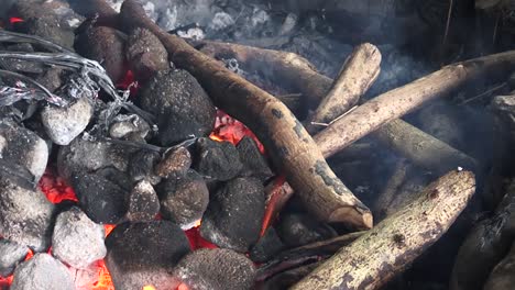 Detail-Eines-Kleinen-Lagerfeuers