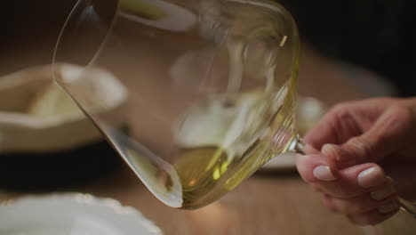 mujer sosteniendo un vaso de vino