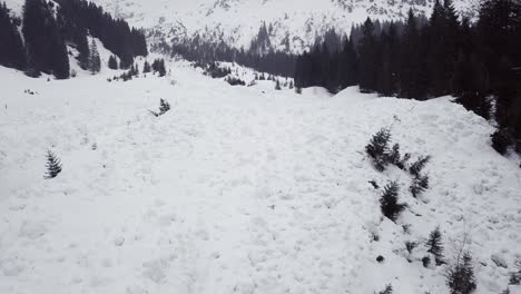 Avalanche-runout-zone-in-the-alps,-Austria,-Kleinwalsertal,-bad-weather
