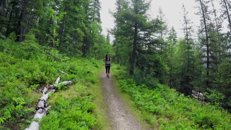 Mother-carrying-baby-in-carrier-backpack-while-walking-through-forest-4k