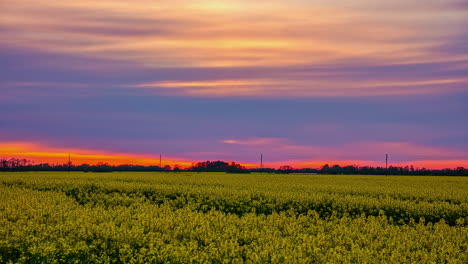 Lapso-De-Tiempo-Tranquilo-Y-Colorido-De-La-Puesta-Del-Sol-Del-Hermoso-Cielo-En-El-Campo-De-Colza-Amarilla