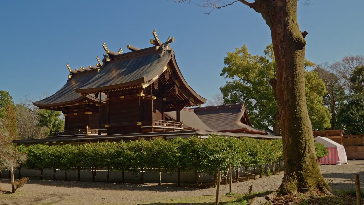 En storslået traditionel Shinto-helligdoms hovedhal med et udsmykket buet tag, gyldne dekorative spir og mørk trækonstruktion står under en levende blå himmel, indrammet af et bart vintertræ og omgivet