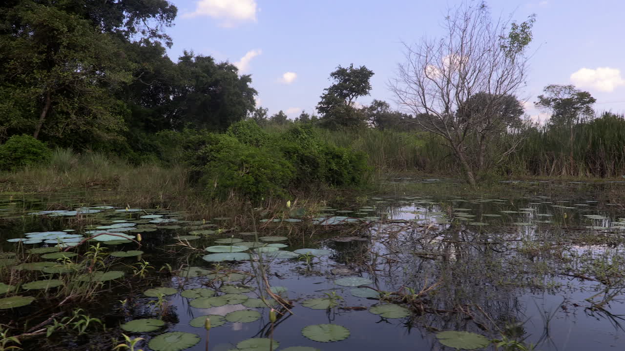 스리랑카의 물에 호수 풍경