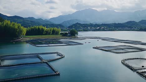 aerial view of a fish farm on a lake with mountains in the background