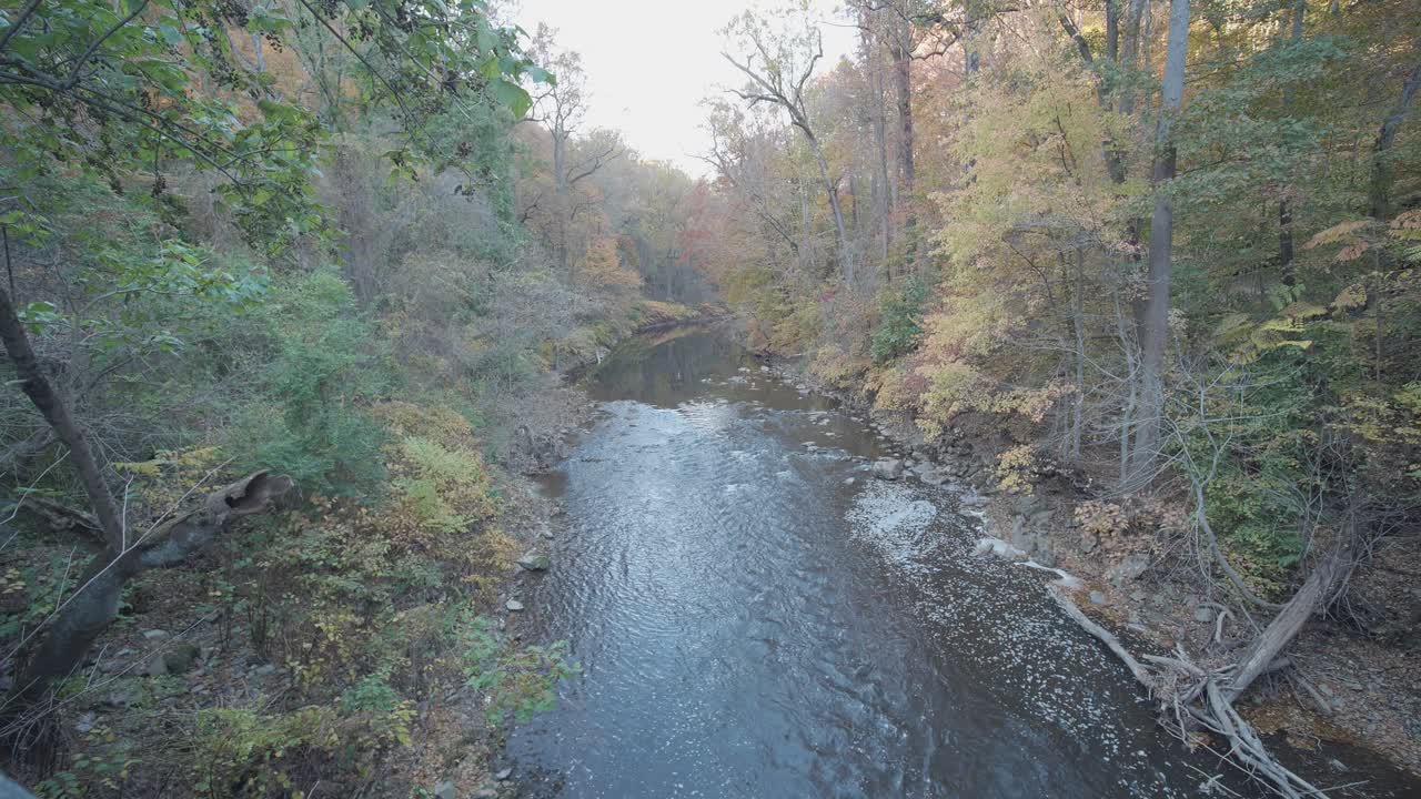 árboles a lo largo del arroyo wissahickon en otoño