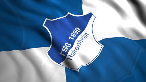 tsg hoffenheim flag