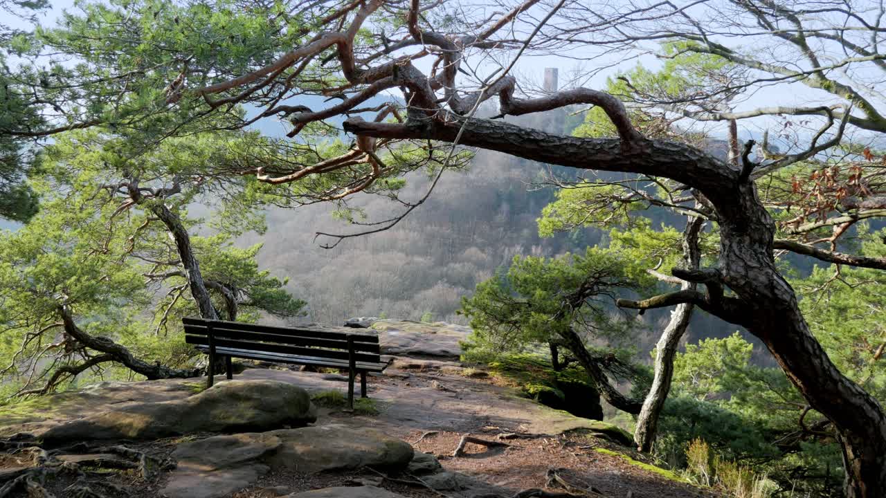 3개의 성을 볼 수 있는 팔라티네이트 숲의 아름다운 관점