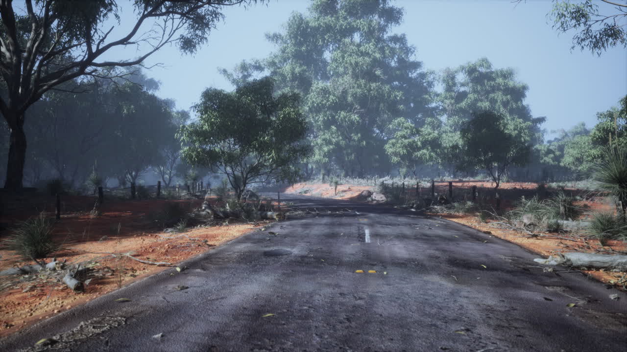 깊은 숲을 가로지르는 아스팔트 도로