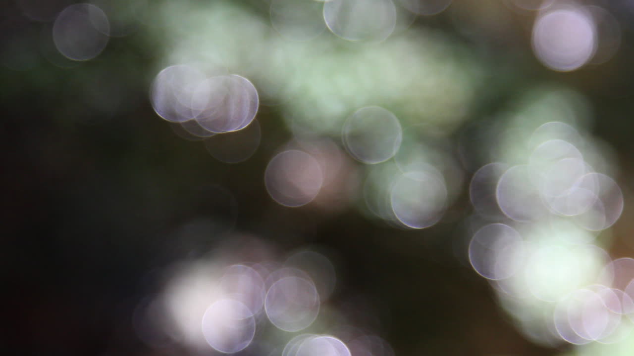 resumen de las caídas de darwin