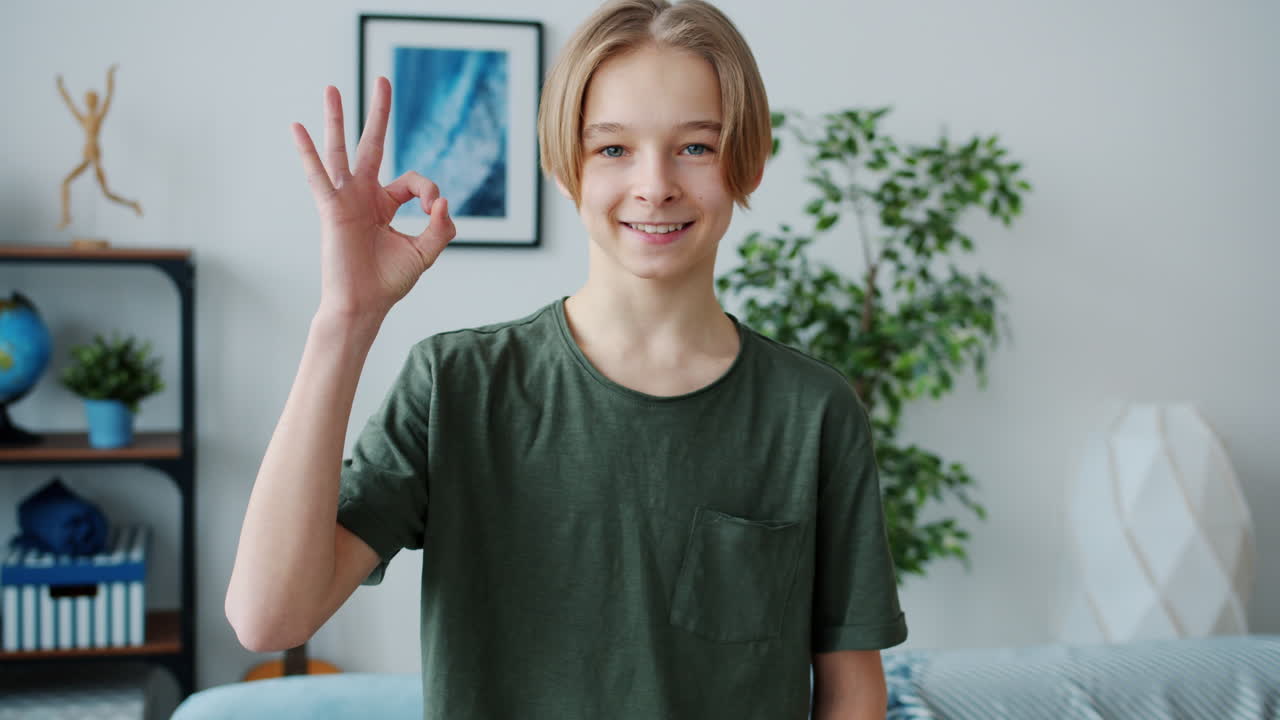 Teenage Boy Smiling and Making Ok Sign