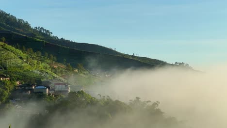 Monring-Brumoso-En-El-Campo.-Pendiente-De-La-Montaña