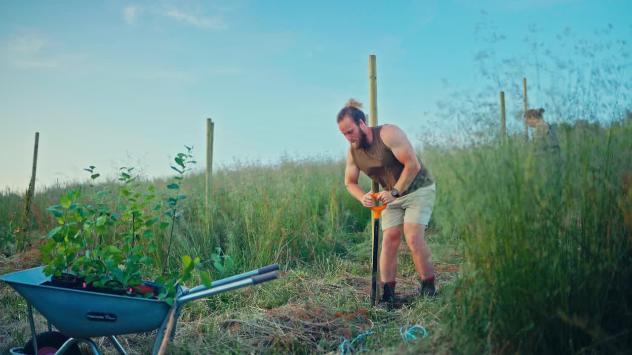 En mann bruker en spade til å grave i jorden, og forbereder bakken for planting – statisk bilde.
