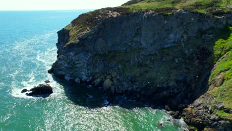 Aerial-view-of-seagulls-and-their-nests-on-a-rocky-cliffs