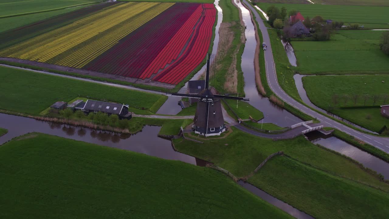 Vista aerea di Heerhugowaard con Veenhuizer, mulino a vento, tulipani, che mostra un paesaggio rurale sereno nei Paesi Bassi.