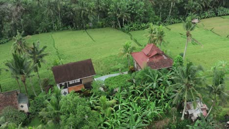 Luftaufnahme-Von-Oben-Nach-Unten-Einer-Person,-Die-Am-Privaten-Pool-Einer-Wohnung-Mit-Malerischem-Blick-Auf-Die-Plantage-Auf-Bali-Entlang-Geht