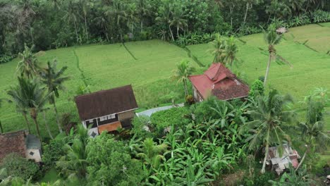 aerial top down shot of person walking along private pool at apartment with scenic plantation view on bali