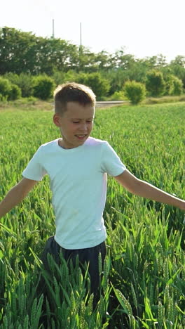 a kid is spinning around himself with arms outstretched and touching unripe spikelets of wheat on a summer day. slow motion vertical video