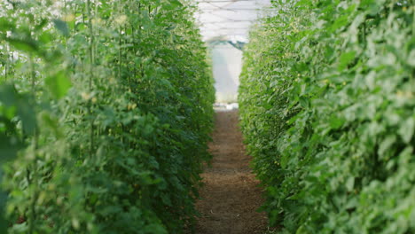 who doesn't love seeing lush foliage
