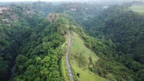 Campuhan-Ridge-Walk-Bali-Ubud-Wanderweg-Hügel-Luftdrohne