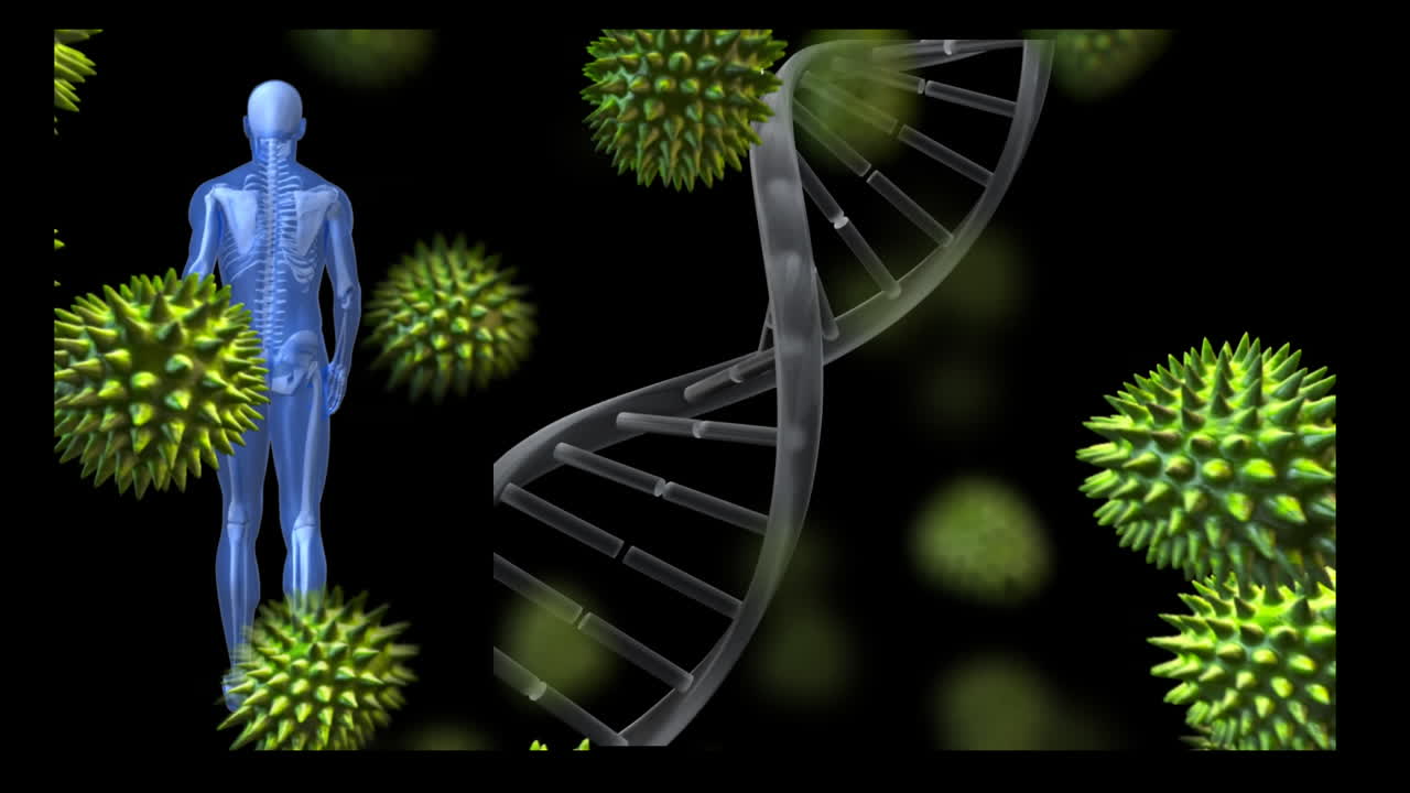 코로나 19 세포와 걸어다니는 파란색 인간 형상으로 dna 가닥이 회전하는 애니메이션