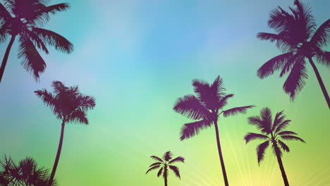 Panoramic-view-of-tropical-landscape-with-palm-trees-and-sunset-3