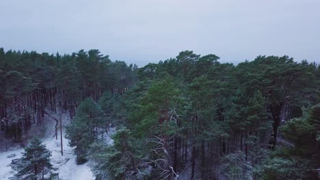 beautiful aerial establishing view of baltic sea coast on a overcast winter day, beach with white sand covered by snow, coastal erosion, climate changes, wide ascending drone shot moving forward