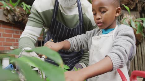 Glücklicher-älterer-Afroamerikanischer-Mann-Mit-Seinem-Enkel,-Der-Pflanzen-Im-Garten-Eintopft