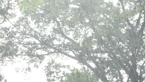 heavy rain in rainy season