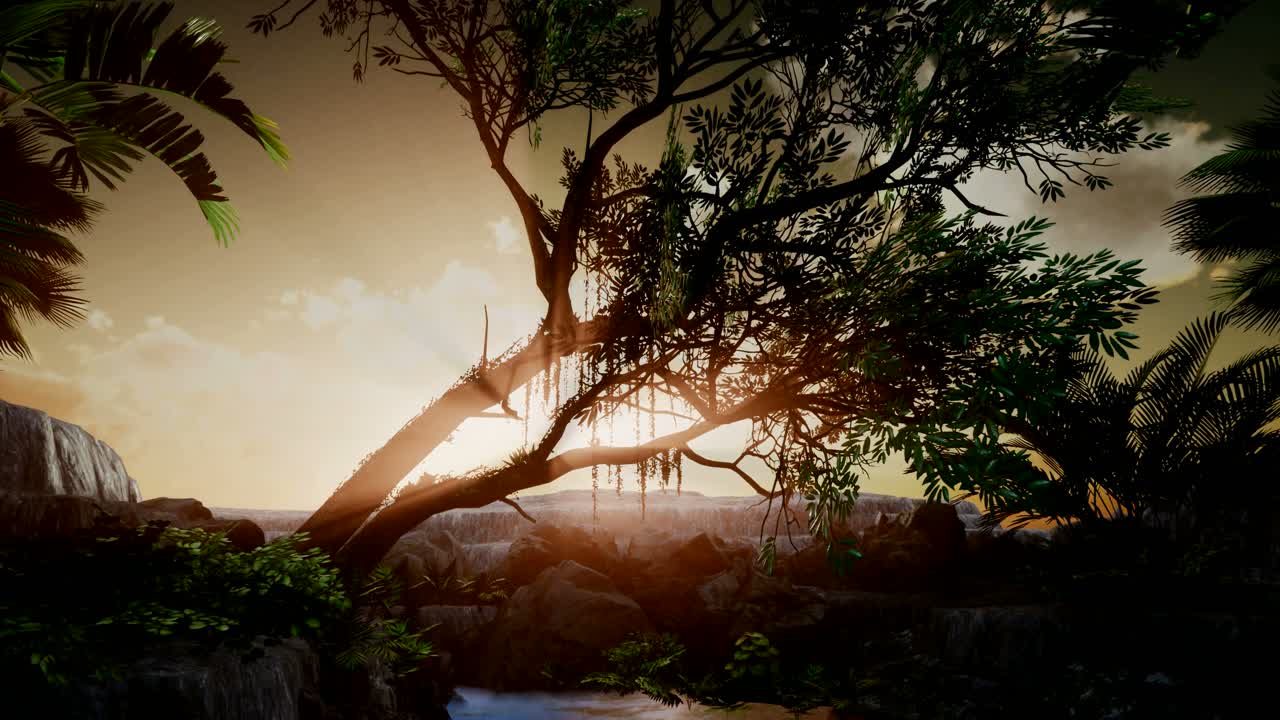 los rayos del atardecer a través de las palmeras