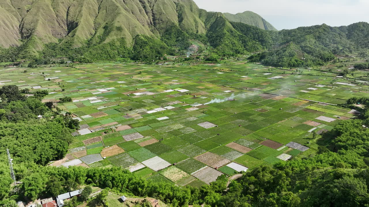vista de los coloridos campos de arroz en sembalun, lombok