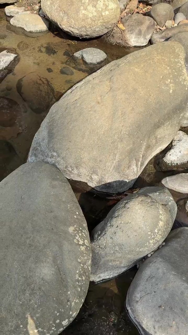 Acqua limpida che scorre sulle rocce lisce del fiume
