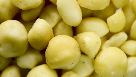 close up on rotating portion of macadamia nuts, uncooked white selection