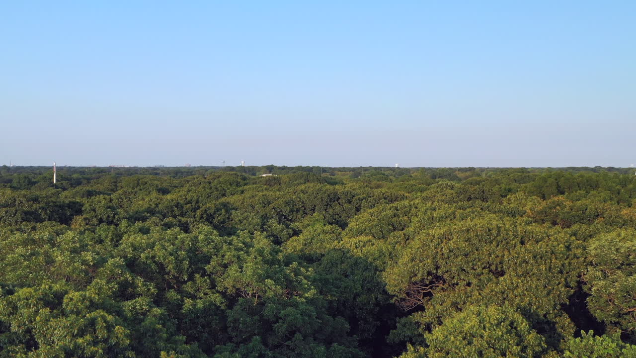 느린 크레인이 푸른 나무 위로 솟아오르다가 밝은 날 공원에서 구름 한 점 없는 푸른 하늘을 배경으로 아래로 기울어집니다