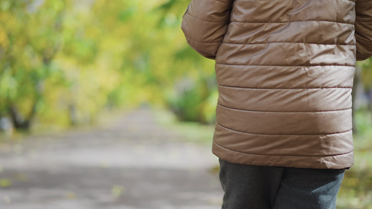 back view of little child walking in ash pants and canvas sneakers holding yellow leaf on leaf strewn autumn path under cloudy sky in quiet park surrounded by colourful foliage during fall outing