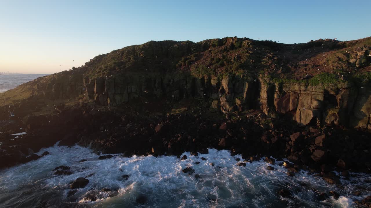Aerial View Of Ocean Waves Crashing Against The Rocky Coastline Of Cook Island With Seagulls In NSW, Australia