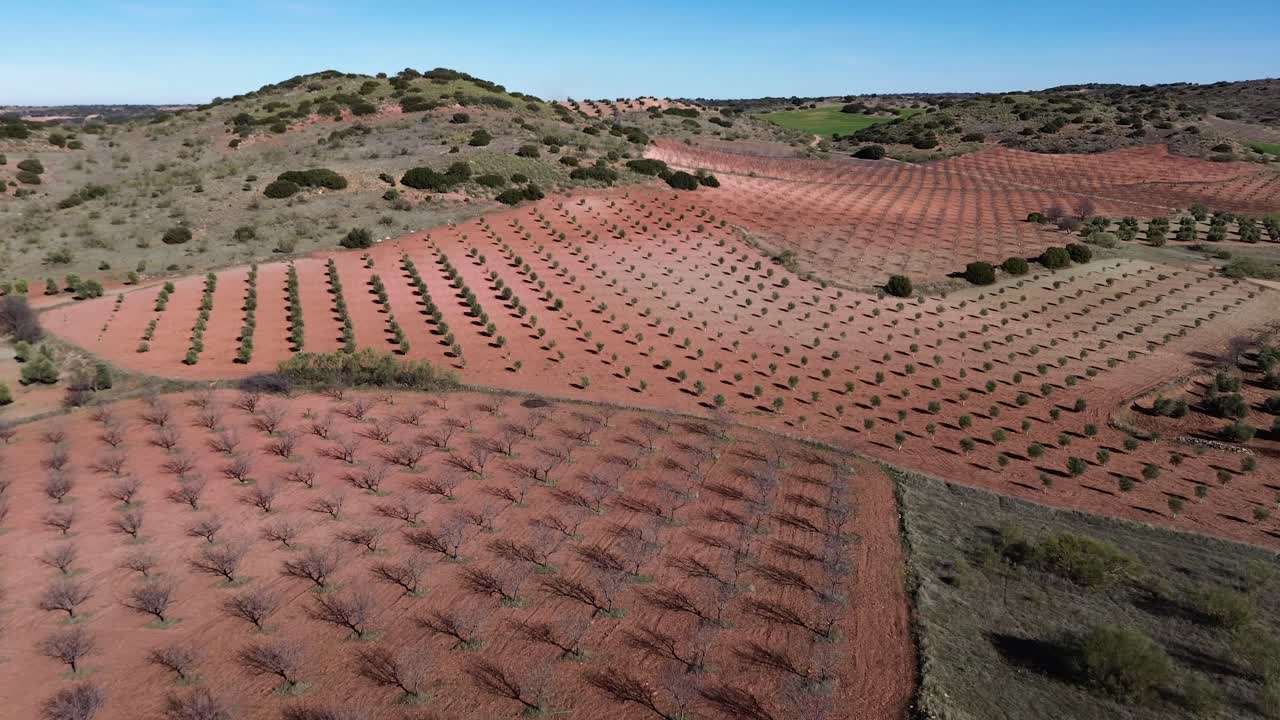 paisaje de campos de cultivos rojos con olivos, almendros y montañas desde una vista de dron