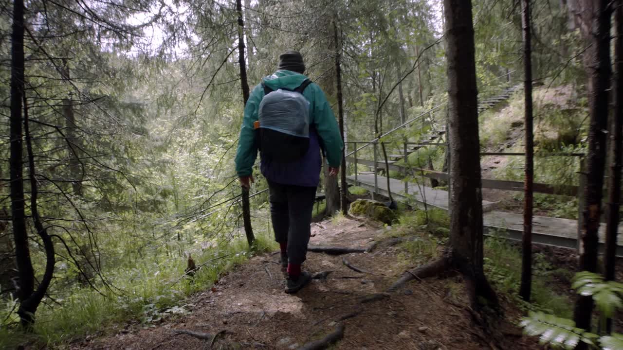 Man wandelt in een bos