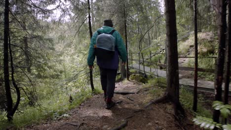 hombre caminando en un bosque