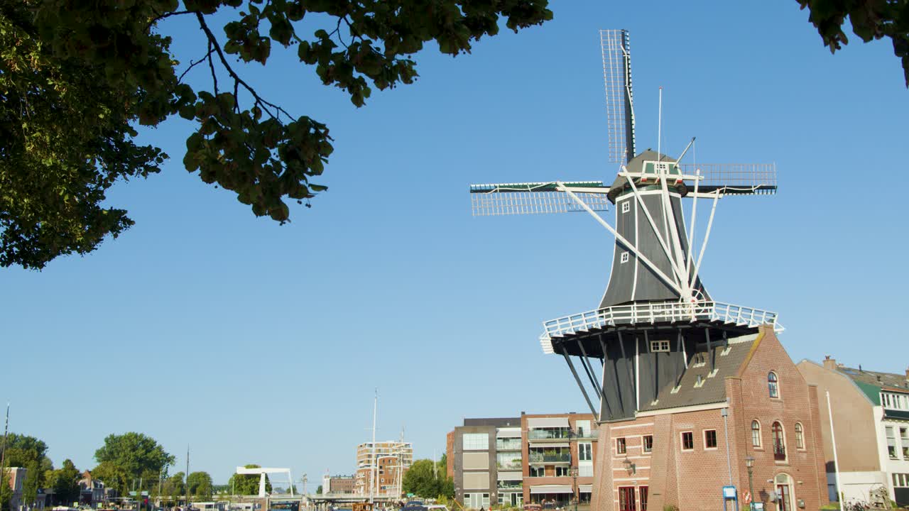 Historic Dutch windmill by canal in Haarlem, Netherlands, framed by green branches under blue sky