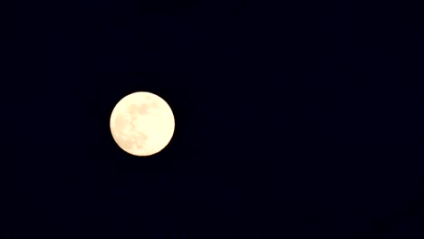 noche de luna llena 4k